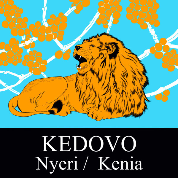 Kenia Kedovo Nyeri